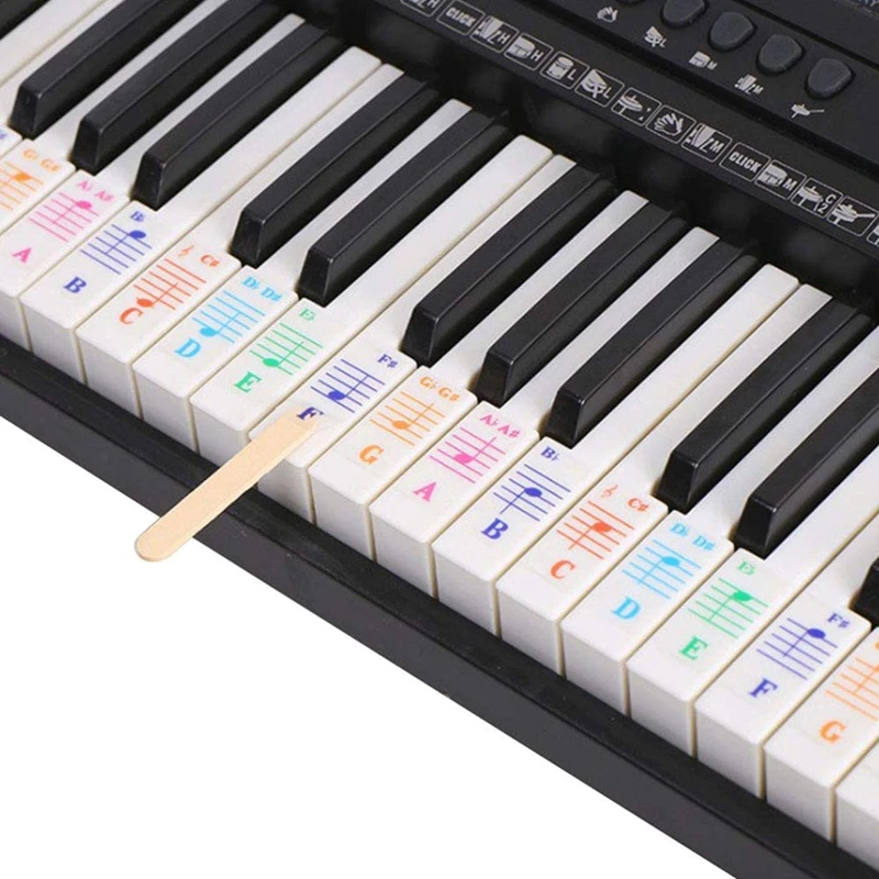 Piano /keyboard note and staff position removable learning stickers view CAPETOWN UP*_2