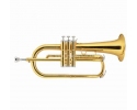 Sonata flugel horn