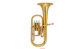 sonata gold plated Alto Horn in Eb View CAPETOWN