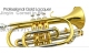 Sonata gold laquer cornet