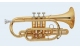 Talent Cornet in Bb view Capetown