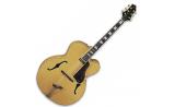 Greg bnennet hollow body jazz guitar JZ-4