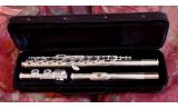 Sonata Flute View CAPETOWN