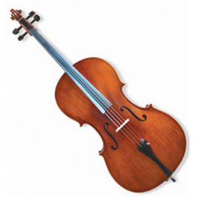 Sonata cello 1/4 size View CAPETOWN UP*