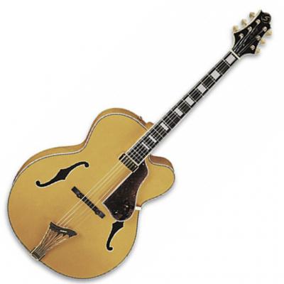 Greg bnennet hollow body jazz guitar JZ-4