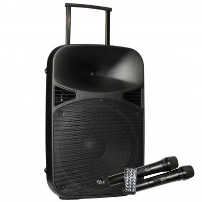 12 in Portable PA with 2 UHF Wirless mics . USB/SD/FM and Bluetooth battery or mains UP*_1