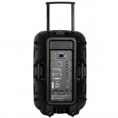 15 in Portable PA with 2 UHF Wirless mics . USB/SD/FM and Bluetooth battery or mains UP*_1