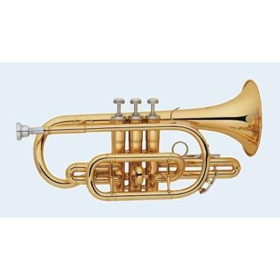 Talent Cornet in Bb view Capetown_1